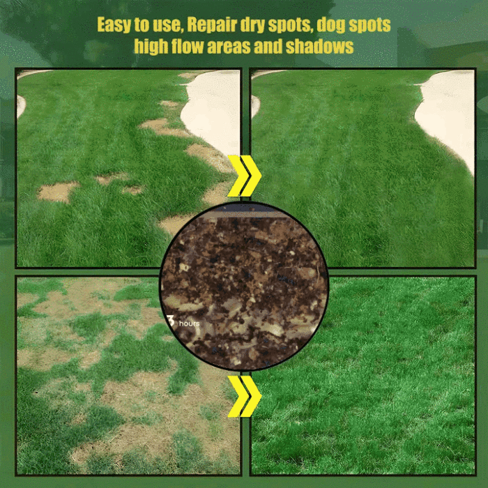 ⏰Last day 70% off- 🌱BBOJI™ Four seasons evergreen dwarf grass seeds🌾